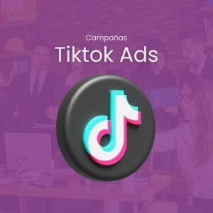 TikTok Ads